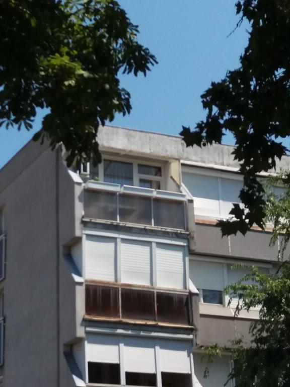 Malnas Macska Apartman Szekszard Exterior photo